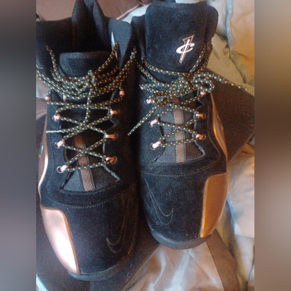 Nike Zoom Penny (Hardaway)